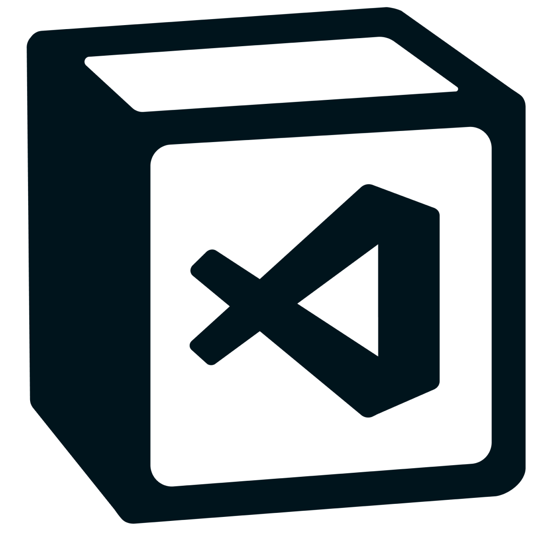 VSCode Notion